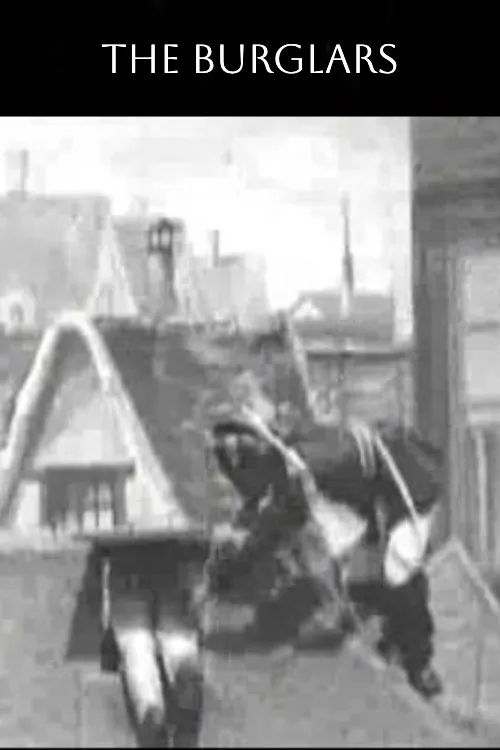 Les Cambrioleurs