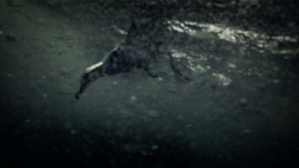 Leviathan