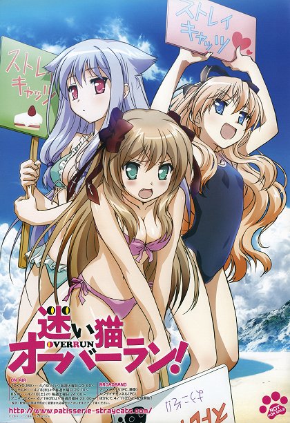 Majoi neko, nuida