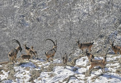 Malý Kavkaz – mezi Araratem a Kaspickým mořem