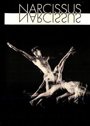 Narcissus
