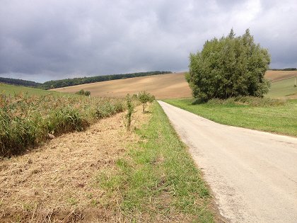 Naše tradice