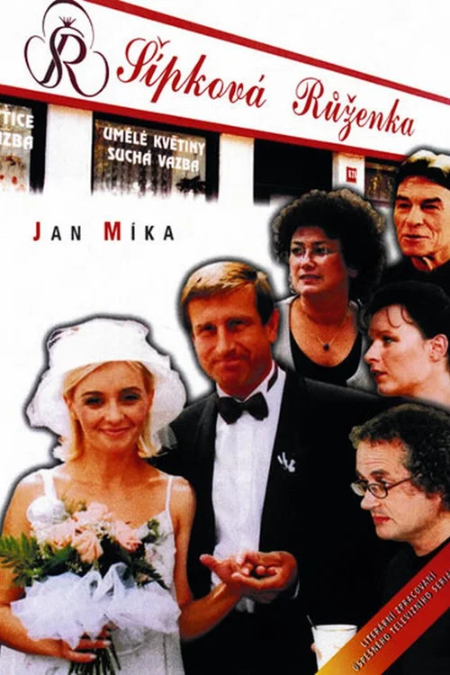 Neslušný návrh