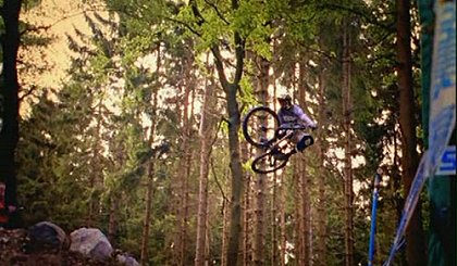 New World Disorder VII - Flying High Again
