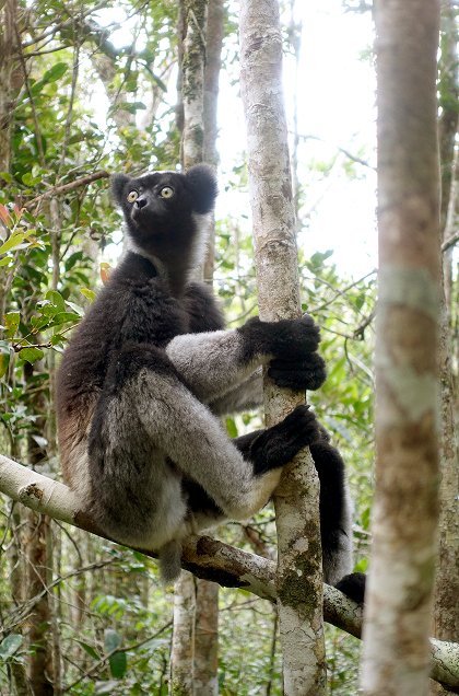 Neznámý Madagaskar