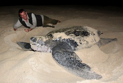 Nigel Marven a dobrodružství v neznámých vodách