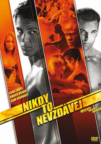 Nikdy to nevzdávej
