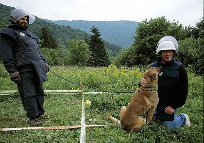 Nová Evropa očima Michaela Palina