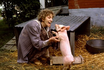 O čarodějnici, která nebyla