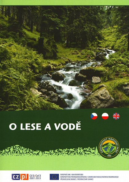 O lese a vodě