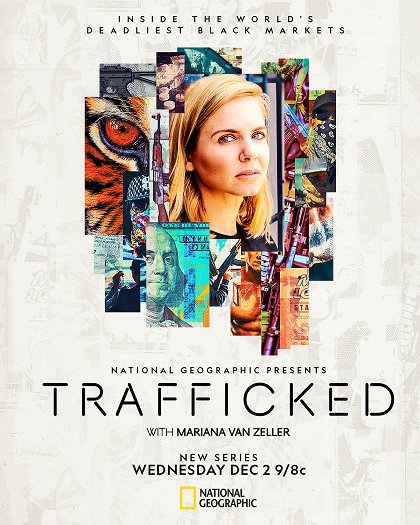 Obchod s tygry