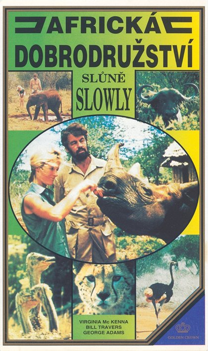 Obklíčeni slony
