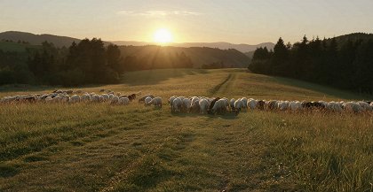 Ovčiarskou cestou