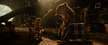 Paddington v džungli