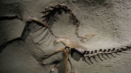 Past na dinosaura