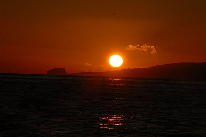 Pátrání po krakatici obrovské