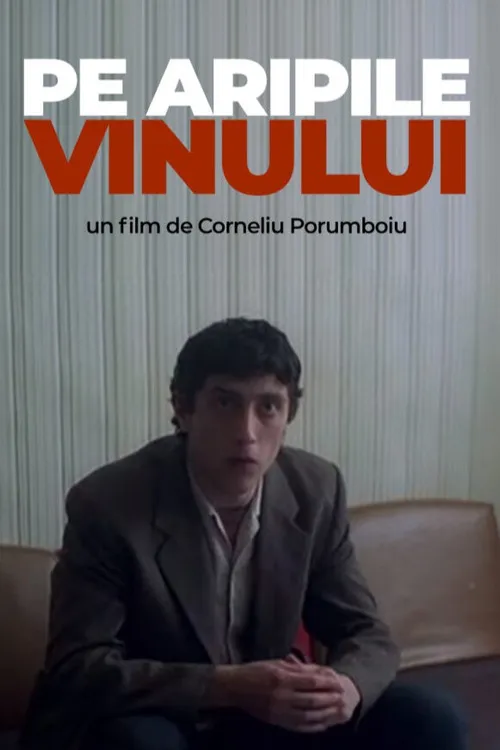 Pe aripile vinului
