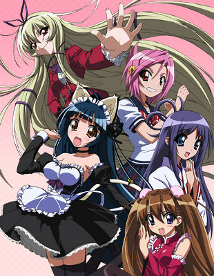 Penguin musume Heart