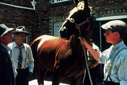 Phar Lap: Národní hrdina