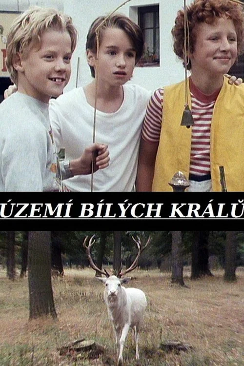 Požár
