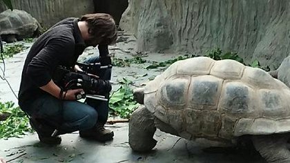 Příběh pražské zoo