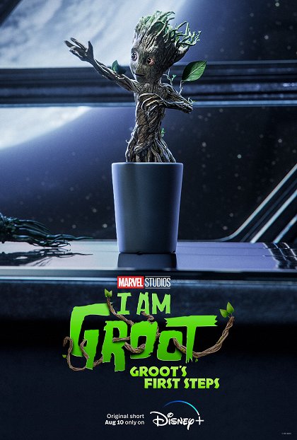 První krůčky
