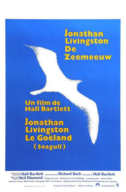 Racek Jonathan Livingston