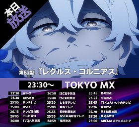 Regulus Corneas