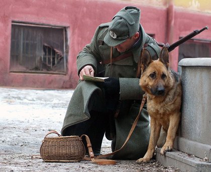 Rin Tin Tin