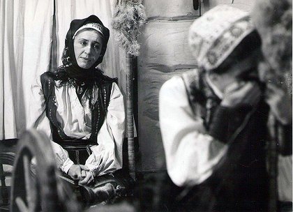Rysavá jalovica