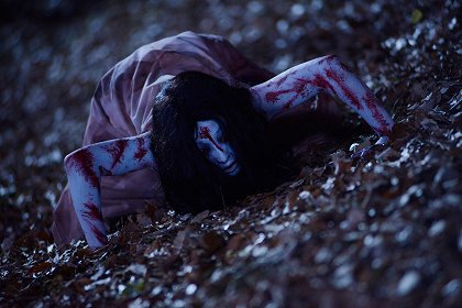 Sadako vs Kayako