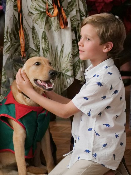 Same Time, Next Christmas