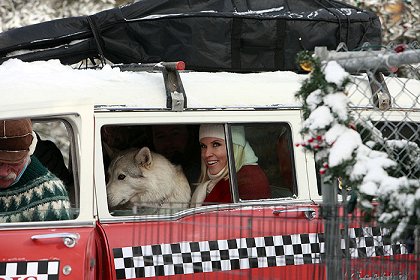 Santova dcera 2: Nejisté Vánoce