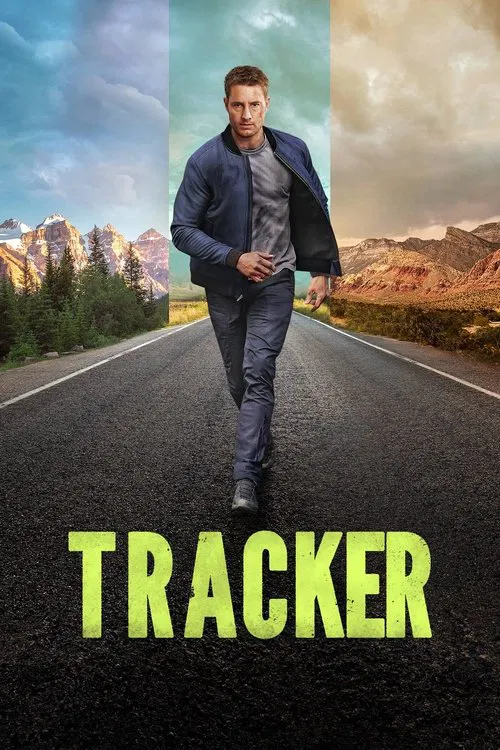 Šedá husa