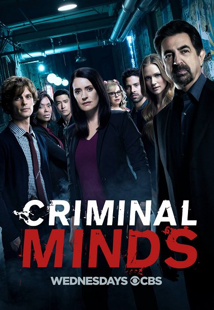 Série 13