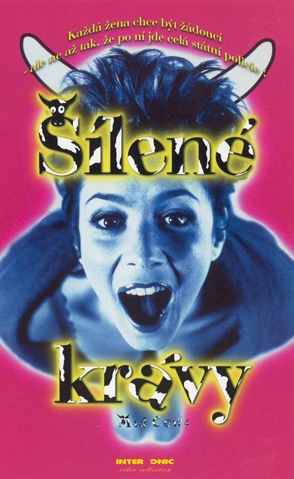 Šílené krávy