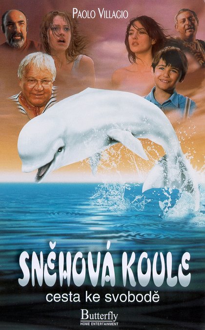 Sněhová koule