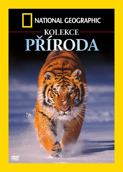 Sopka: Přírodní peklo