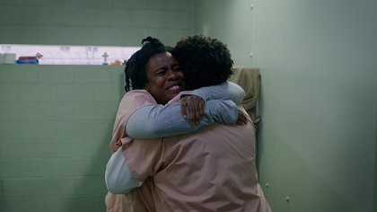 Štěnice postelní