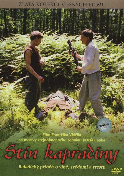Stín kapradiny