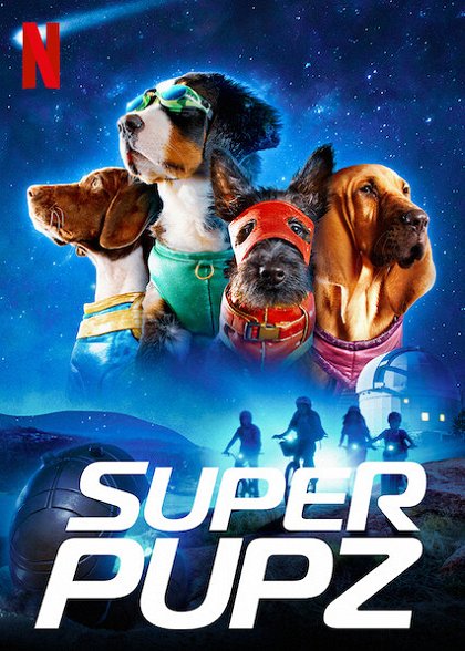 Super zvířátka