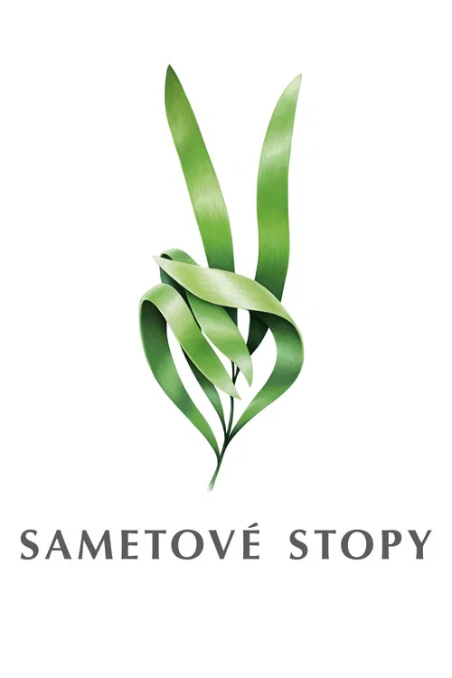 Svatý otec