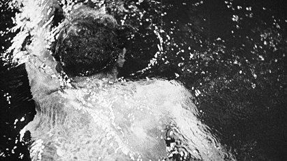 Taris, roi de l'eau