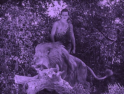 Tarzan a zlatý lev