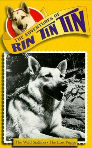 The Adventures of Rin Tin Tin