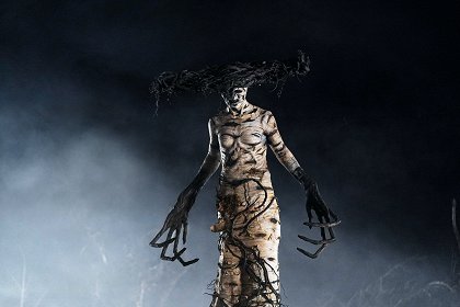 The Birch