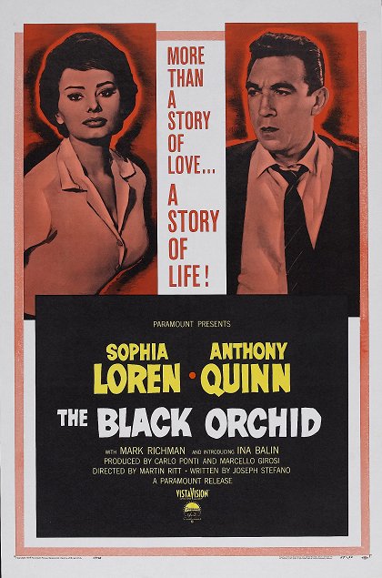 The Black Orchid