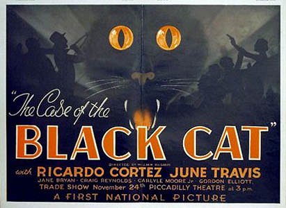 The Case of the Black Cat