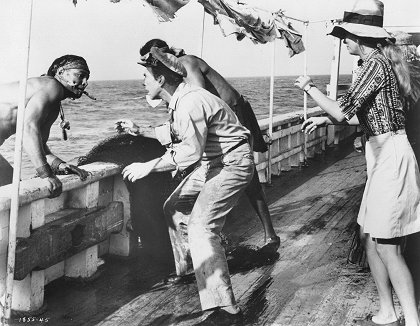 The Extraordinary Seaman
