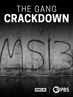 The Gang Crackdown
